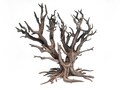 Large Spooky Tree - Haunted Tree - Miniature for Lemax Spooky Town, Dept. 56, Tabletop, RPG