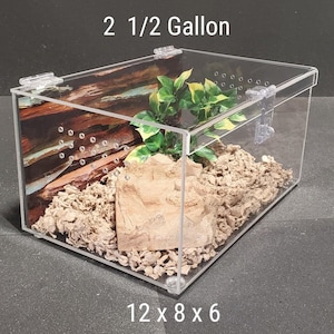 Reptile Enclosure, Tarantula Cage, 2 1/2 Gallon Size, Gecko, Terrarium