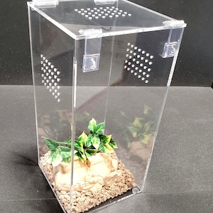 Reptile Arboreal 4.5 Gallon Top Opening Enclosure, Terrariums, Tarantula Enclosure, Geckos, Snakes, Frogs, lizards, spider, Reptile, Etc..
