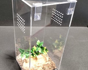 Reptile Arboreal 4.5 Gallon Top Opening Enclosure, Terrariums, Tarantula Enclosure, Geckos, Snakes, Frogs, lizards, spider, Reptile, Etc..