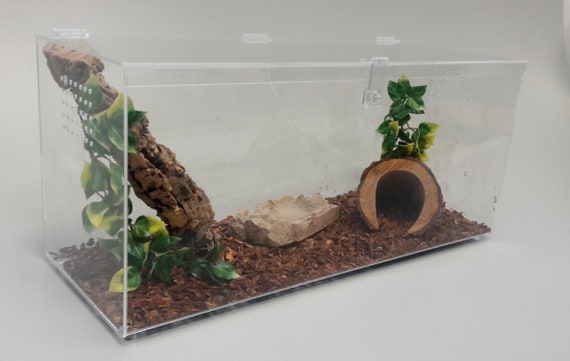 Reptile Enclosure, Tarantula Cage, 10 Gallon Size, Gecko, Terrarium,  Snakes, Frogs, Terrestrial - Etsy UK