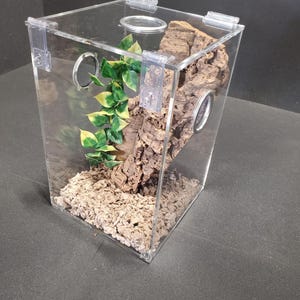 Reptile Arboreal 3.3 Gallon Top Opening Enclosure, Terrariums, Tarantula Enclosure, Geckos, Snakes, Frogs, lizards, spider, Reptile, Etc..