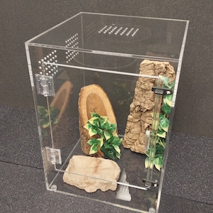 Reptile Arboreal 10 Gallon Front Opening Enclosure, Terrariums, Tarantula Enclosure, Geckos, Snakes, Frogs, lizards, spider, Reptile, Etc.