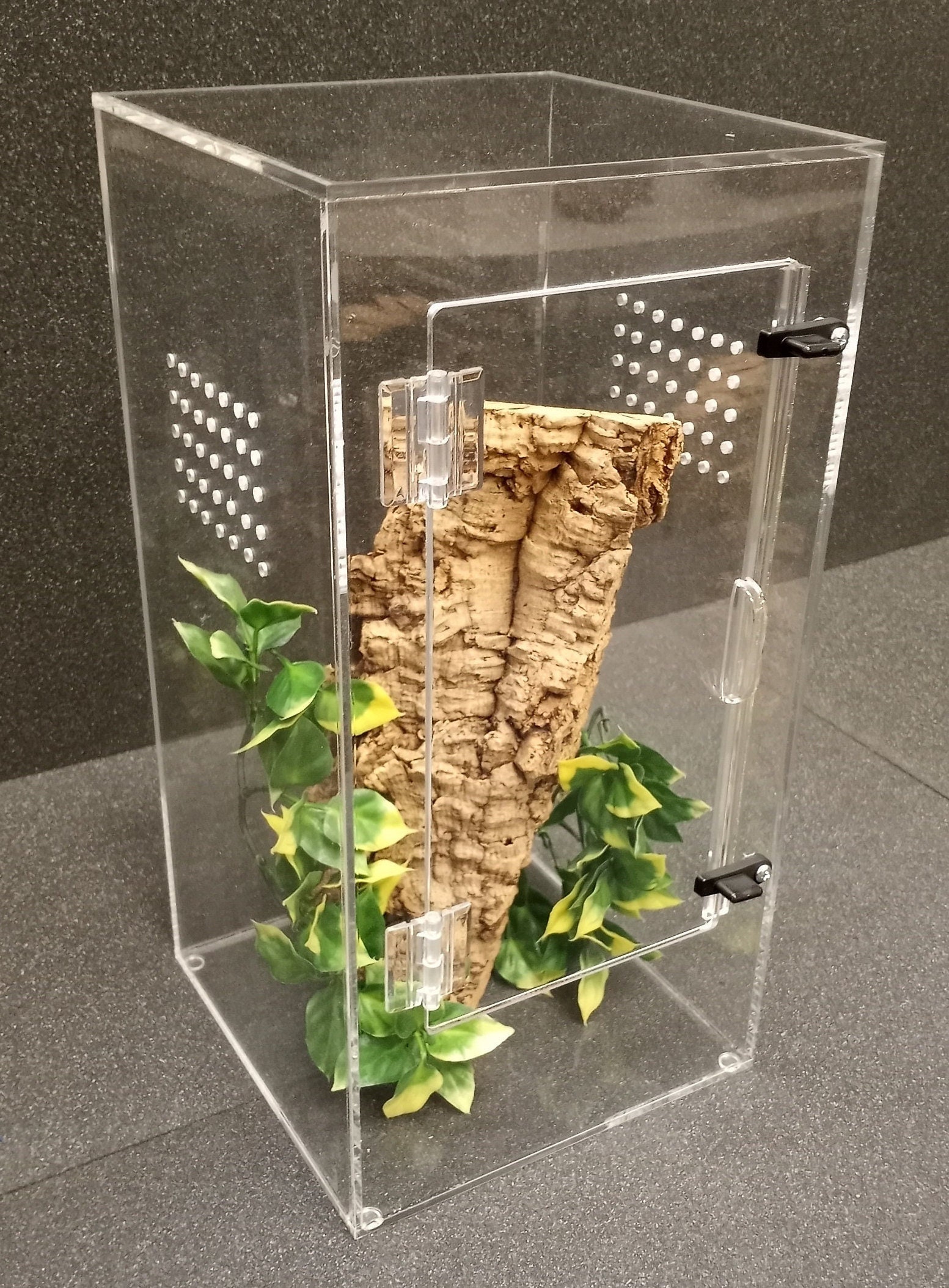 Arboreal Tarantula Enclosure