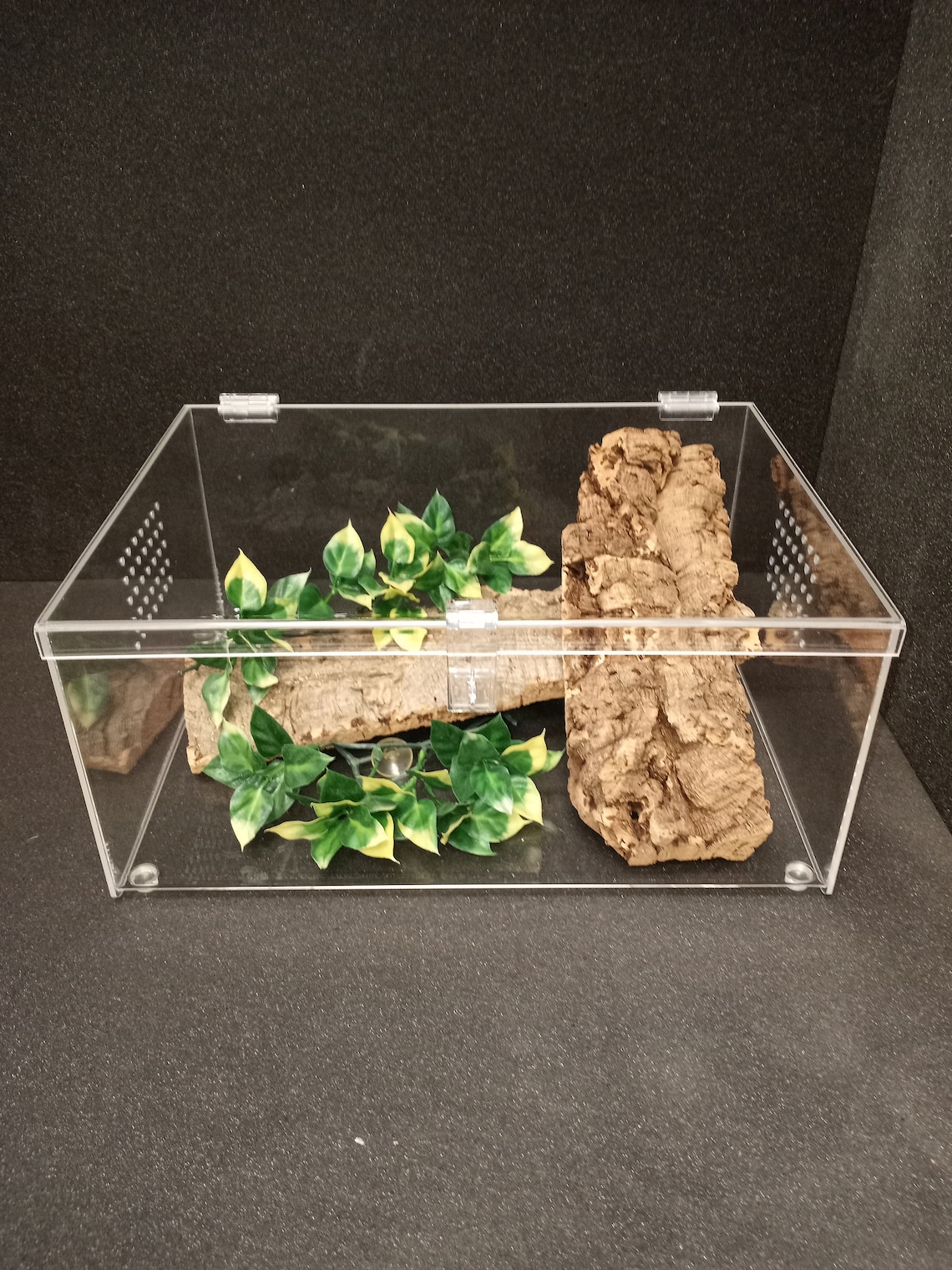 Reptile Enclosure Tarantula Cage 6 Gallon Size Gecko Etsy