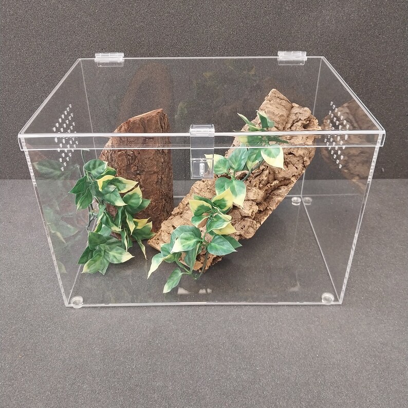 Reptile Enclosure Tarantula Terrarium 6 Gallon Approx. Etsy