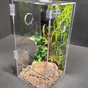 Reptile Arboreal 4.5 Gallon Front Opening Enclosure, Terrariums, Tarantula Enclosure, Geckos, Snakes, Frogs, lizards, spider, Reptile, Etc.