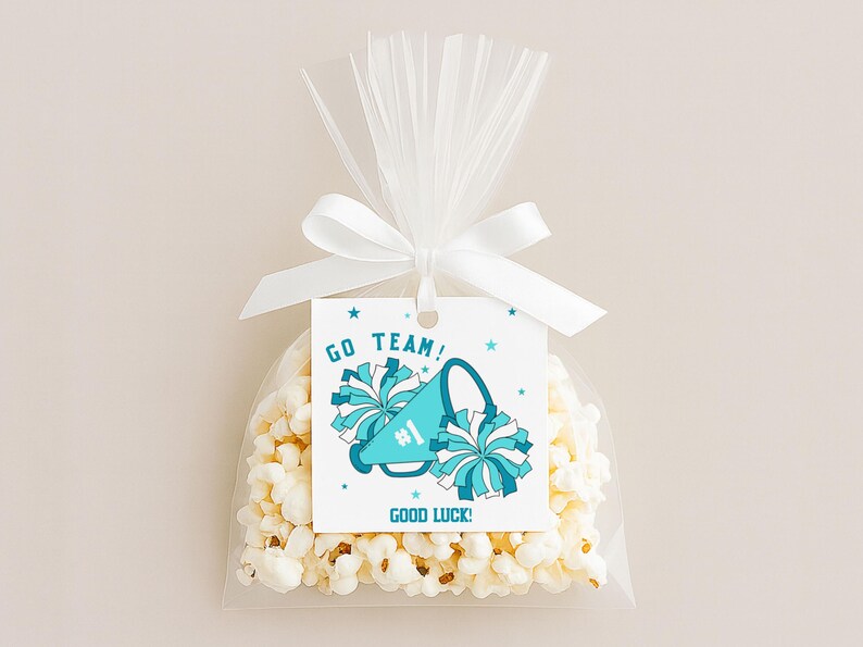 Editable Cheerleader Go Team Tag, Cheer Team Gift Tag, Cheerleader Team ...