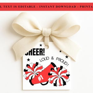 Etiquetas de regalo imprimibles para el equipo de animadoras, etiquetas de recuerdo para animadoras, etiquetas de motivación para el equipo de animadoras, etiquetas para entrenadoras de animadoras, etiquetas para el equipo de animadoras para días de juego, etiquetas de obsequios para el equipo