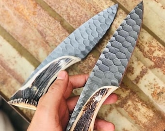 Juego de cuchillos de caza de asta de ciervo hechos a mano: hoja de acero inoxidable, funda de cuero