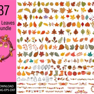 Feuilles d’automne svg, paquet de feuilles d’automne png, fichiers découpés cricut, clipart à usage commercial