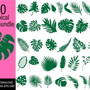 Tropical leaves svg, monstera leaf svg clipart, commercial use svg, jungle leaves clipart, palm branch svg, tropical party decor