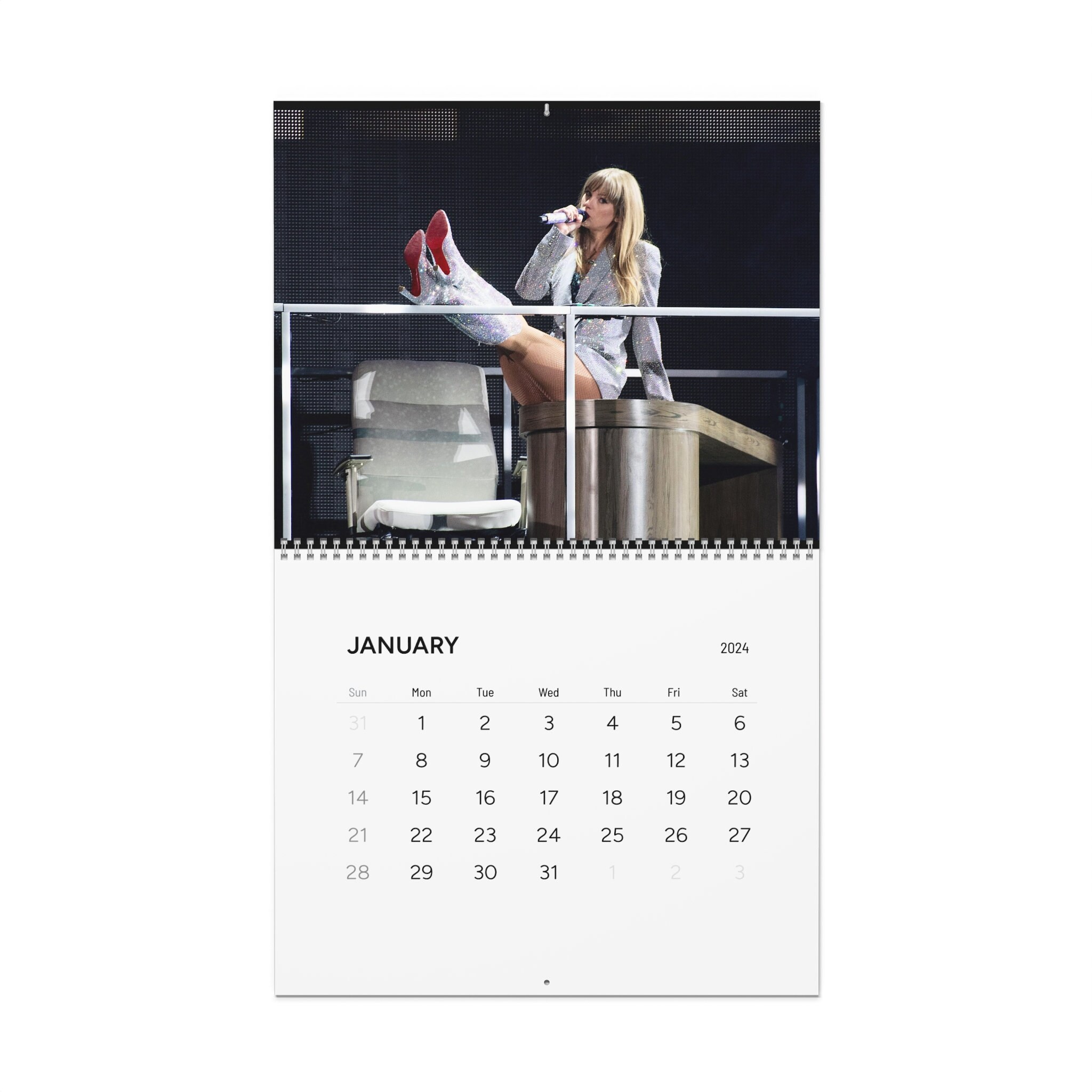 2024 Calendar Taylor Photographs of Eras Tour 2024 Wall Calendar sold