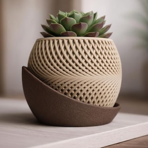 May include: A small succulent plant in a beige, woven-patterned pot with a matching brown saucer. The succulent has green leaves with reddish tips. The pot has a unique, textured design, adding a modern touch to the plant.