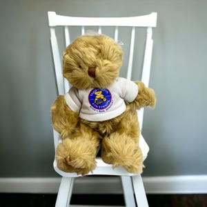 Vintage Build A Bear 6&quot; Centennial Bear Limited Edition 2002 With T-Shirt
