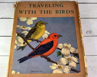 Traveling with the Birds Rudyerd Boulton 1933 Walter Weber Color Plates