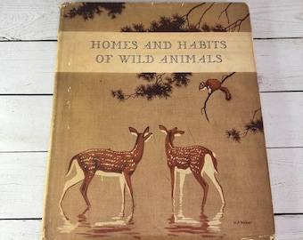 Homes Habits Wild Animals Schmidt Weber 1934 North American Mammals Donohue