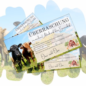 Puede incluir: Tres tarjetas con el texto "SORPRESA, vamos a hacer unas vacaciones en la granja". Las tarjetas presentan una foto de vacas en un campo y una ilustración de un granero rojo. El texto está en alemán.
