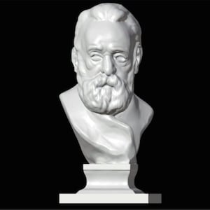 Victor Hugo Bust, Victor Marie Hugo Statue, Victor Hugo Sculpture, French Romantic Writer, 3D Printed Statue, Size & Colour Options