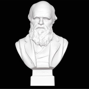 Charles Darwin Bust, Darwin Statue, Darwin Sculpture, Theory of Evolution, British Naturalist, 3D Printed Statue, Size & Colour Options