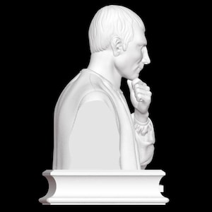 Busto di Niccolò Machiavelli, Scultura di Niccolò Machiavelli, Filosofo italiano, Rinascimento, Scultura stampata in 3D, Dimensioni e opzioni di colore immagine 6