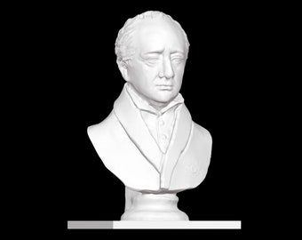 Johann Wolfgang von Goethe Bust, Goethe Statue, German Novelist, 3D Printed Statue, Size & Colour Options