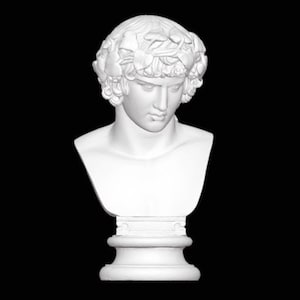 Könnte beinhalten: Weiße Gipsbüste eines Mannes mit einem Kranz aus Blättern auf dem Kopf. Die Büste steht auf einem weißen Sockel.