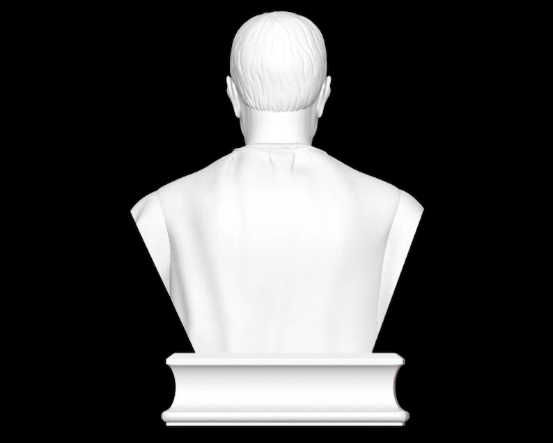 Busto di Niccolò Machiavelli, Scultura di Niccolò Machiavelli, Filosofo italiano, Rinascimento, Scultura stampata in 3D, Dimensioni e opzioni di colore immagine 5