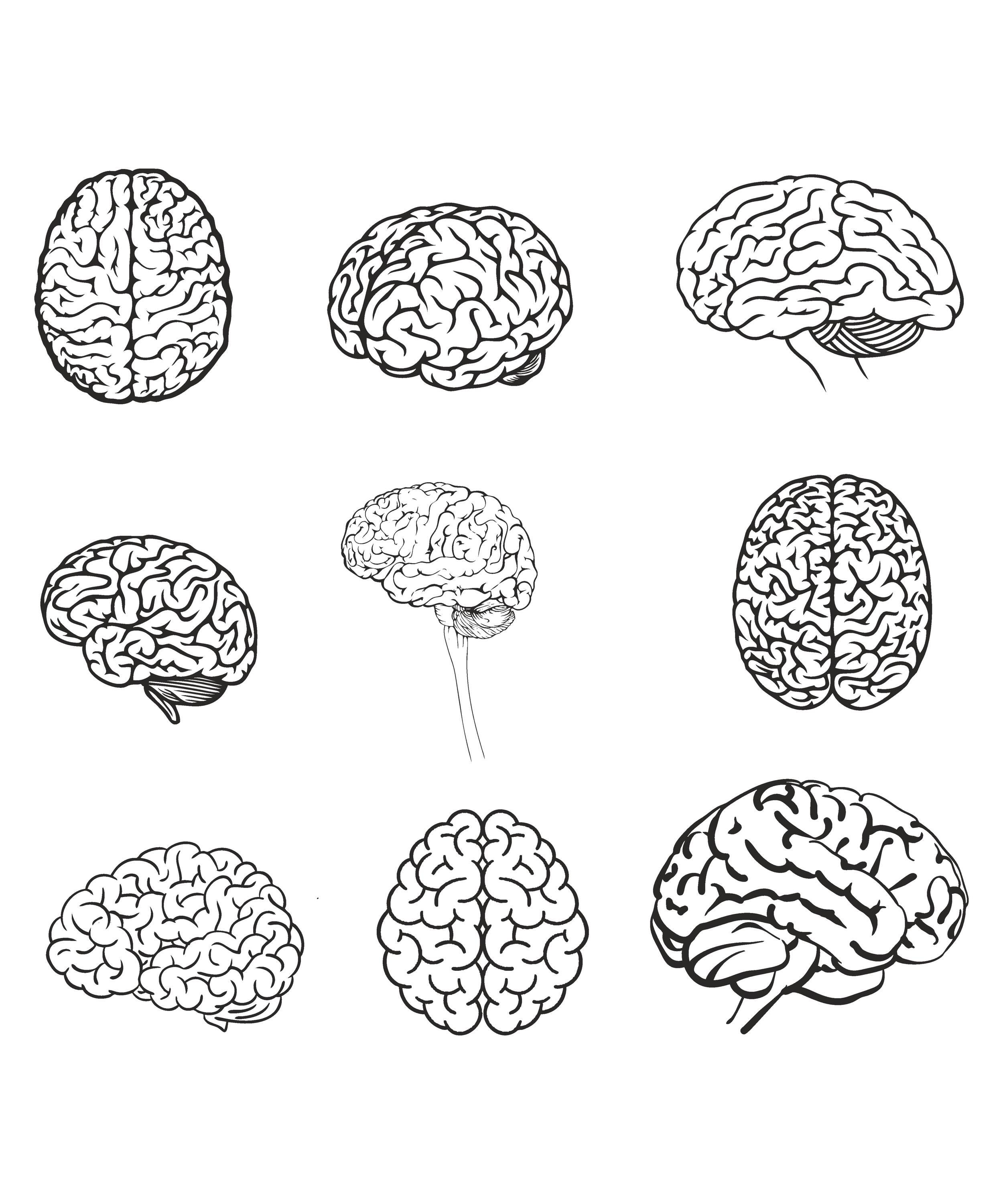 Brain SVG, Brain Clipart, Brain Cut File, Brain Stencil, Brain Cricut ...