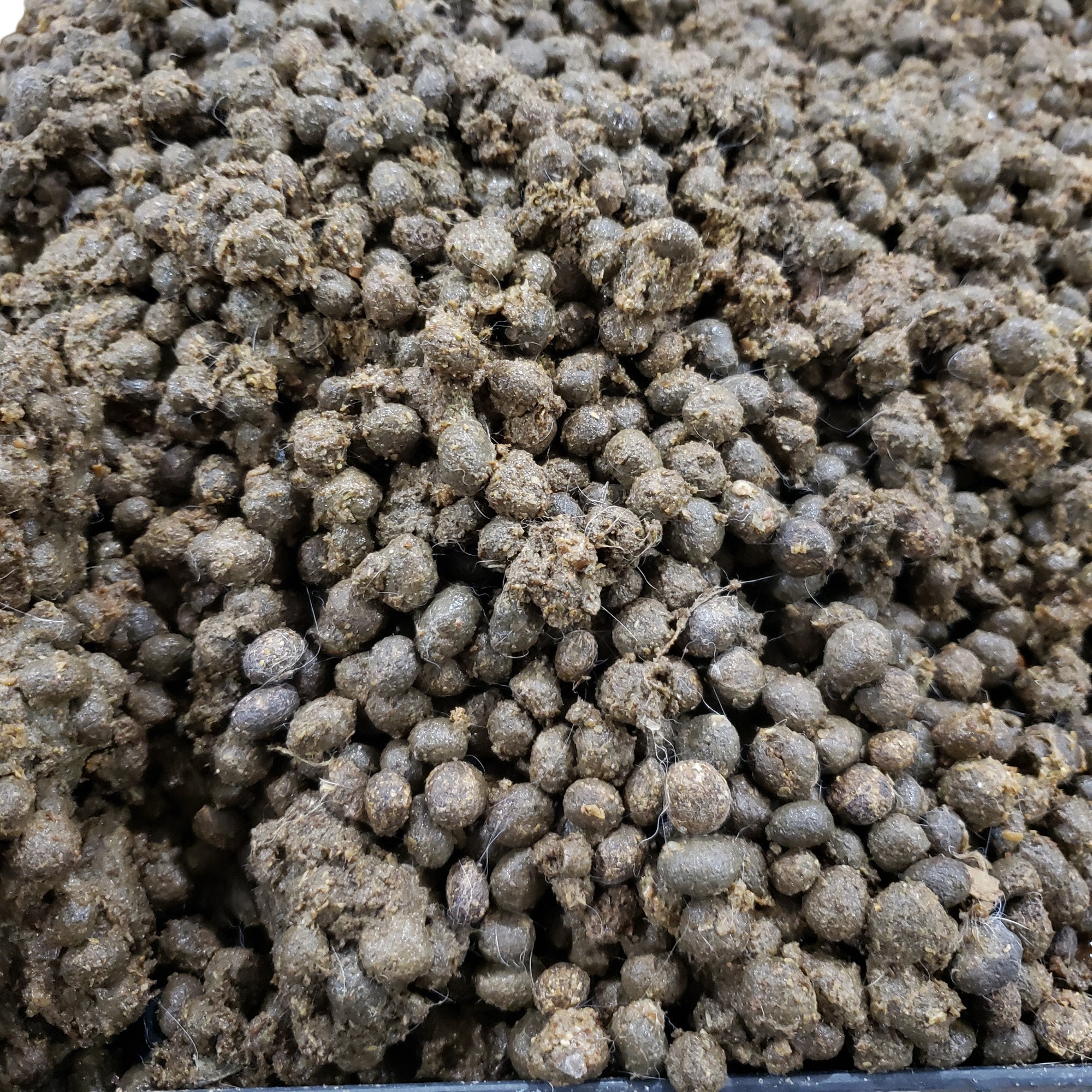 12.5 Lb Rabbit Manure RINSED No STRAW/HAY Fertilizer Poop Compost Pooh ...