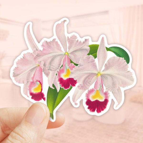 Cattleya Trianae Sticker, Orchid Sticker, Vinyl Sticker, Die Cut Sticker, Water Bottler Sticker, Laptop Decal, waterproof flower sticker