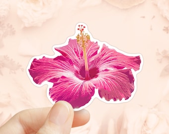 Roze hibiscus sticker, bloemen sticker, sterven gesneden sticker, laptop sticker, vinyl sticker, water bottelaar sticker, tropische bloem sticker