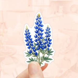 Bluebonnet Flower Sticker, Texas Sticker, Vinyl Waterproof Sticker, Laptop Decal, Floral Sticker, Water Bottler Sticker, Texas bluebonnet