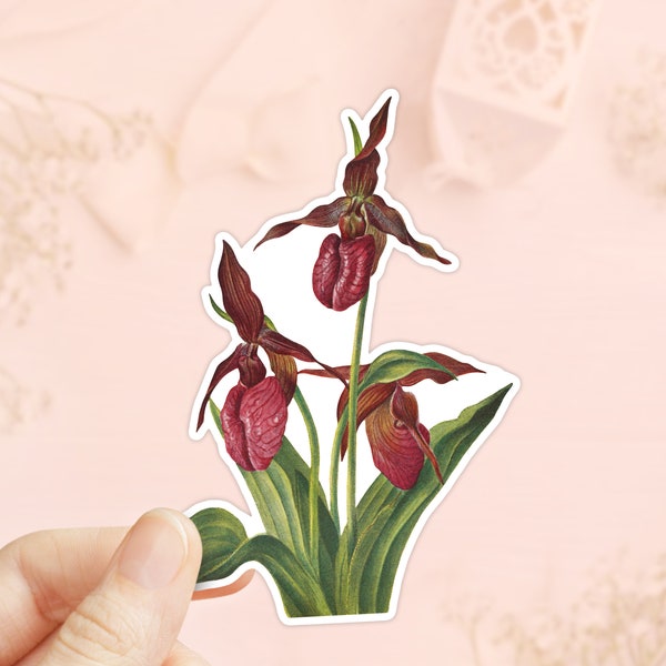 Pink Lady Slipper Sticker, Flower Sicker, Stickers for Hydroflask, Die Cut Sticker, Vinyl Sticker, Water Bottler Sticker, Laptop Decal