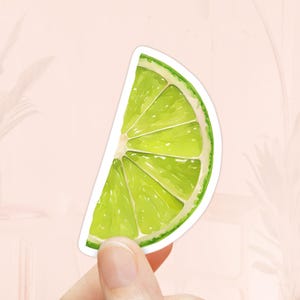 Puede incluir: Una pegatina con una ilustración a la acuarela de una rodaja de lima. La lima es de un verde vibrante con una cáscara blanca y está sujeta por los dedos de una persona sobre un fondo rosa suave.