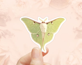 Lunar Moth Sticker, Waterproof Vinyl, Nature Insect Sticker, Laptop Sticker, Cute Moth Sticker, Nature Lover Gifts, Water Bottle Sticker