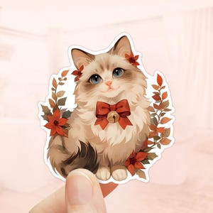 Pegatina de gato Ragdoll, pegatina navideña, vinilo resistente al agua, regalos de gato Ragdoll, flores de Pascua, pegatina de gato Ragdoll esponjoso, amantes de los gatos