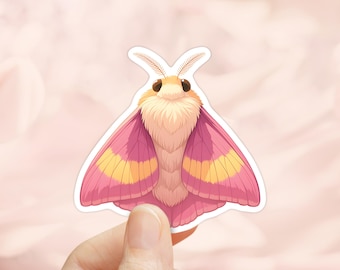 Rosy Maple Moth Aufkleber, wasserdichtes Vinyl, niedlicher Mottenaufkleber, Fehleraufkleber, Pink Lemonade Moth, Kindle Aufkleber, Mottenaufkleber, Schmetterlinge