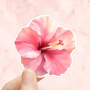 Lot Autocollants Voiture Hibiscus Fleurs Papillons – Flower Set 10 – Neuf Allemagne