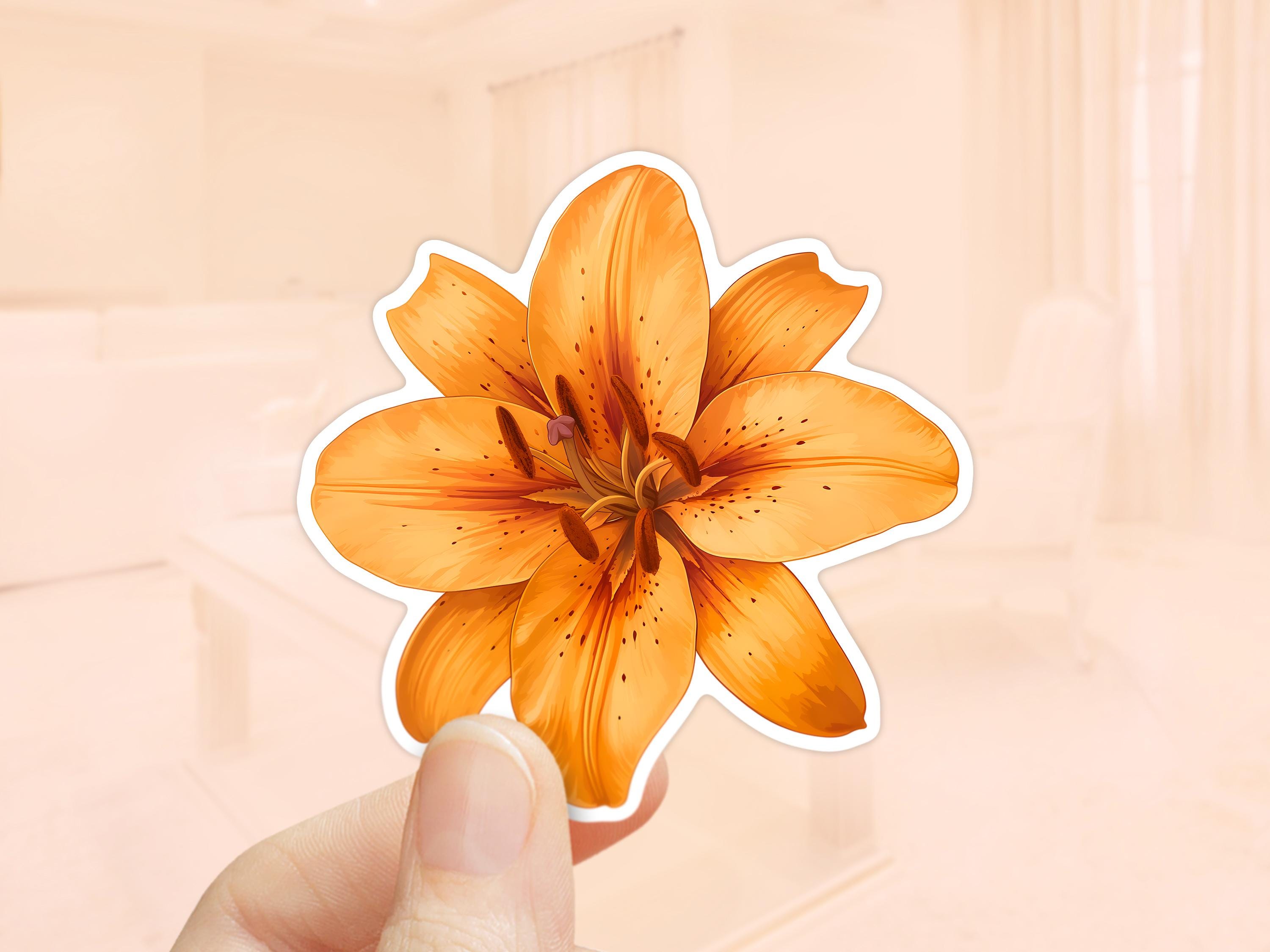 Tiger Lily Flower Sticker, Waterproof Vinyl, Orange Lily, Laptop
