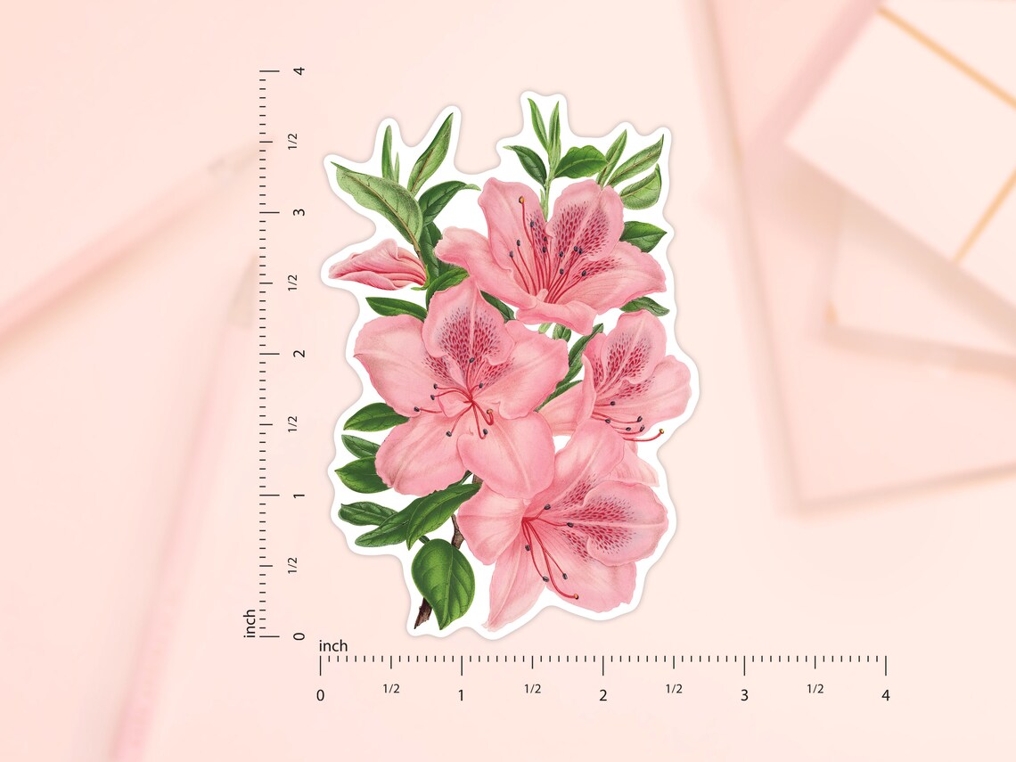 Azalea Gigantiflora Flower Sticker, Pink Flower Sticker, Die Cut ...