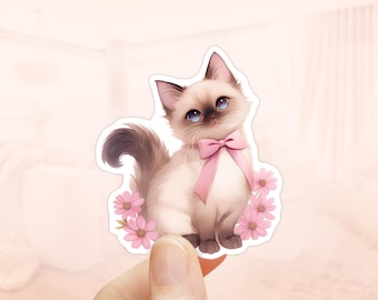 May include: A white and brown kitten with blue eyes wearing a pink bow and surrounded by pink flowers.