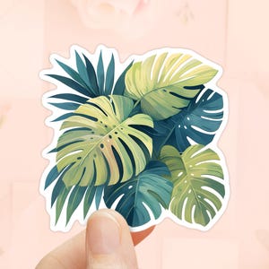 Monstera Blätter Aufkleber, wasserdichtes Vinyl, tropische Blätter Aufkleber, Monstera Aufkleber, Wasserflasche Aufkleber, Pflanzenmutter Geschenk, Dschungel Aufkleber