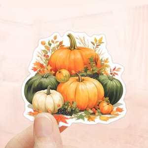 May include: A sticker featuring a watercolor illustration of pumpkins and autumn foliage. The design includes various sizes of orange, green, and white pumpkins, surrounded by fall leaves and berries. A festive, seasonal design.