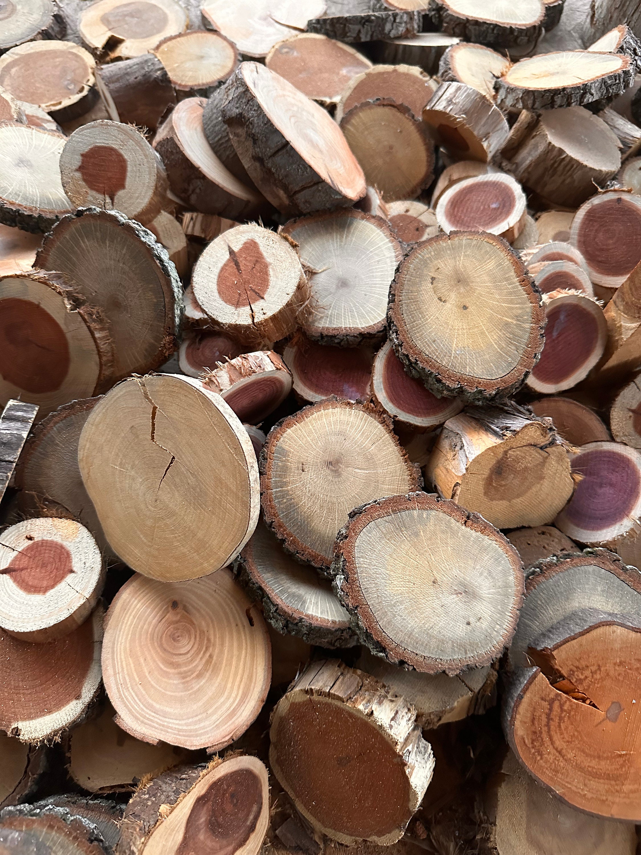 ORGANIC Red Cedar Wood Slices Live Edge Wood Rounds Wood Disc Assorted  Sizes Raw Wood Circles Rustic Decor Bulk Wood 