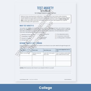 Test Anxiety Worksheets for Kids, Teens, College - Exam Stress Coping Skills, Study Plan PDF image 5