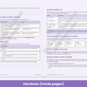 DBT Skills Worksheets, Distress Tolerance, Emotion Regulation, DEAR MAN, Diary Card, Therapy Handouts image 3