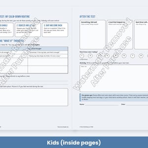 Test Anxiety Worksheets for Kids, Teens, College - Exam Stress Coping Skills, Study Plan PDF image 3