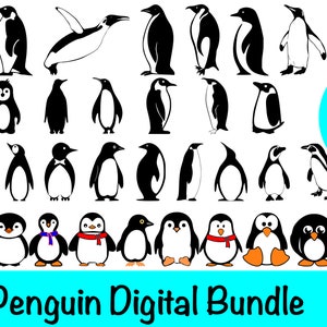 Bundle SVG pingouin, Clipart pingouin, fichiers coupés pingouin, Silhouette de pingouin, Svg de pingouin mignon, vecteur de pingouin, Cricut, téléchargement immédiat