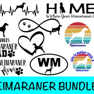 13 Weimaraner Images SVG Bundle / Dog Clipart/ Cut File/ Cricut/ Vector/ Dxf/ Png/ Eps / Hunting Dog Bundle